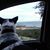 Tricia Polt's profile image