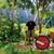 Ernie Wild Drum's profile image