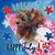 Brenda Gayle Martin's profile image