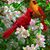 Diana M. Clark's profile image