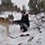 Heather Ray's profile image