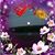 Deb Cox Stoltzfus's profile image
