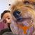 Dimas Arredondo's profile image