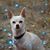 Nichole Van Aart Howes-Southland's profile image