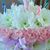 Gudrun R. Swann's profile image