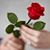 Pamela Ellis Cheek's profile image