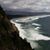 Cathy Koehler's profile image