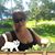 Lara Arreola's profile image