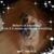 Rosalie P Nolan's profile image