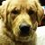 Geri Cutrona's profile image