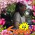 Kay Seme Spence's profile image