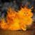 Franck Leporati's profile image