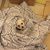 Cheryl Porto Halchak's profile image
