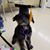 Karla Kirkpatrick's profile image