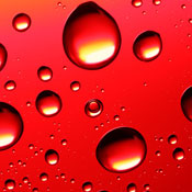 piping s.'s profile image