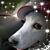 Tom Clements's profile image