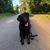 Melodee Arrendell's profile image