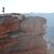 Turid Ullestad Nelson's profile image