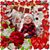 Nicole Sulick- Wolfe's profile image