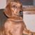 Carole Sondrup's profile image