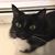 Mindy Powell Fletcher's profile image