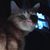 Sam Bader's profile image