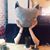 寧寧's profile image