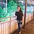 Srivarsha Thota's profile image