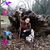 Michele Pacheco's profile image