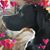 Nancy Parr's profile image