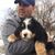Dana Compton's profile image