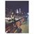 Shino Yanagawa's profile image