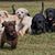 Glenda Kay Drier's profile image