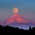 Chadorlisa Infirmier's profile image