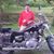Lanny Smith's profile image