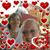 Terry Sieloff's profile image
