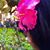 Estefania Henao's profile image