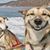 Joann Filce's profile image