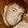 William DeGroat's profile image
