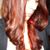 Danielle M. O'Brien's profile image