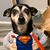 Angi Haigh's profile image