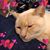 Pam Barbee's profile image