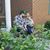 Mary G Zamitis's profile image