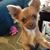 Judith A. Apshaga's profile image
