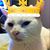 Daniel Prince's profile image