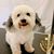 Sherry Etting Miller's profile image
