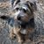 Jeanmarie Centeno's profile image
