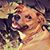 Laura Farrow's profile image