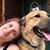 Tanya Ignacio's profile image