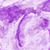 Joanne Gray's profile image